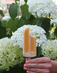 Dreamsicle - Clean Nail Polish