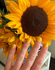 HOOPLA® - Clean Nail Polish